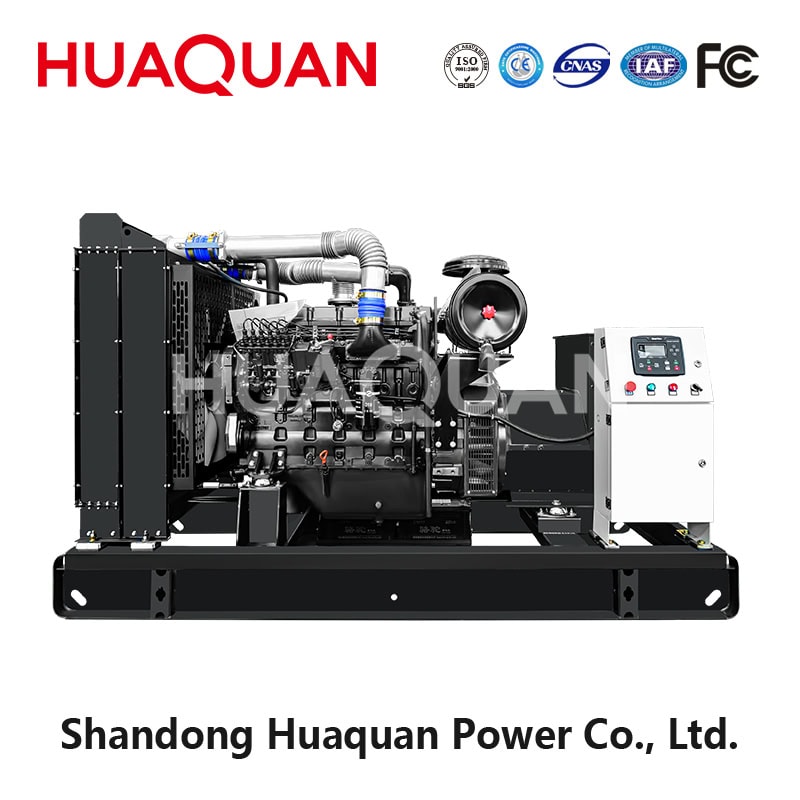 250kW Weifang diesel generator set-3