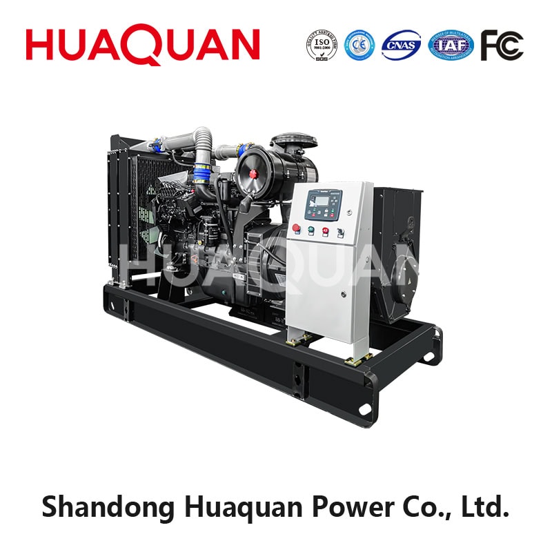 250kW Weifang diesel generator set-5