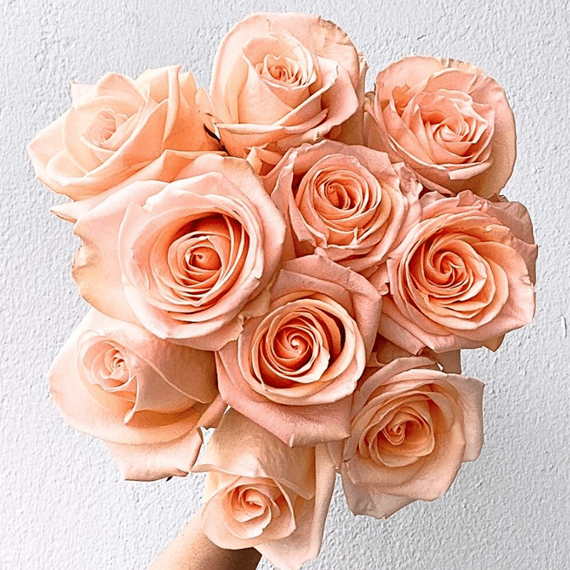 Tiffany - Image 2