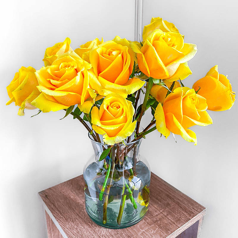 Butterscotch - Image 2