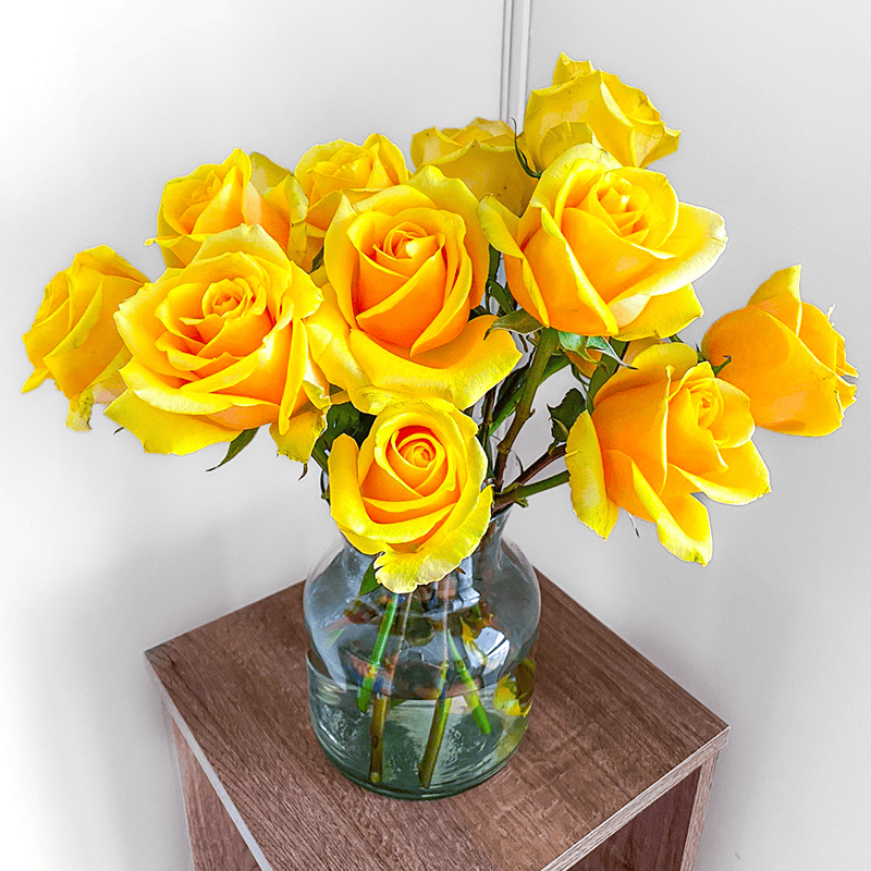 Butterscotch - Image 3
