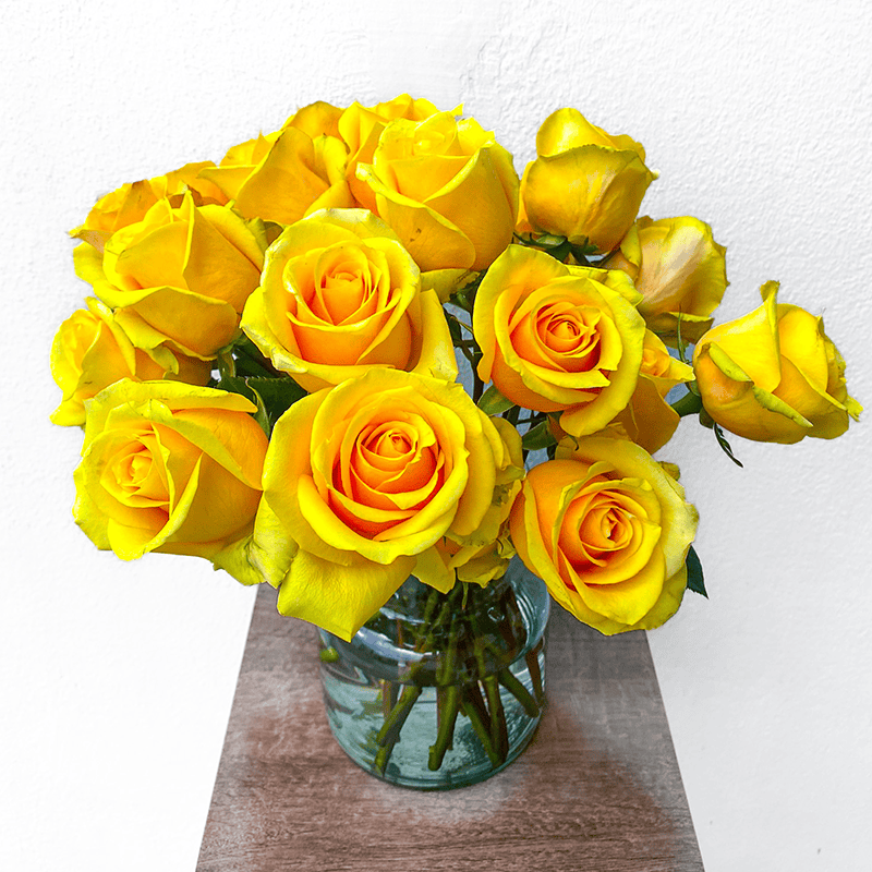 Butterscotch - Image 4