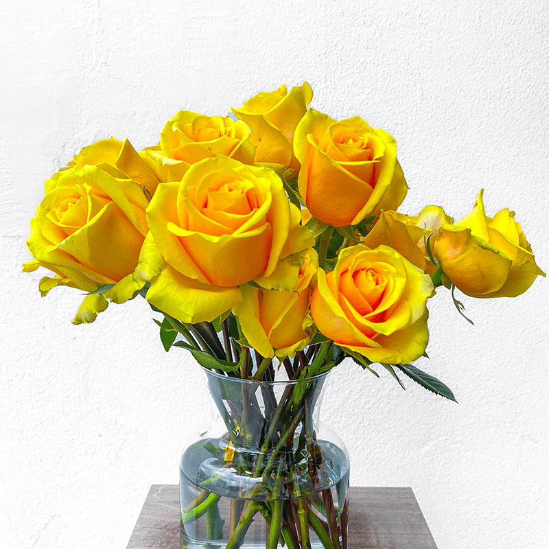 Butterscotch - Image 5