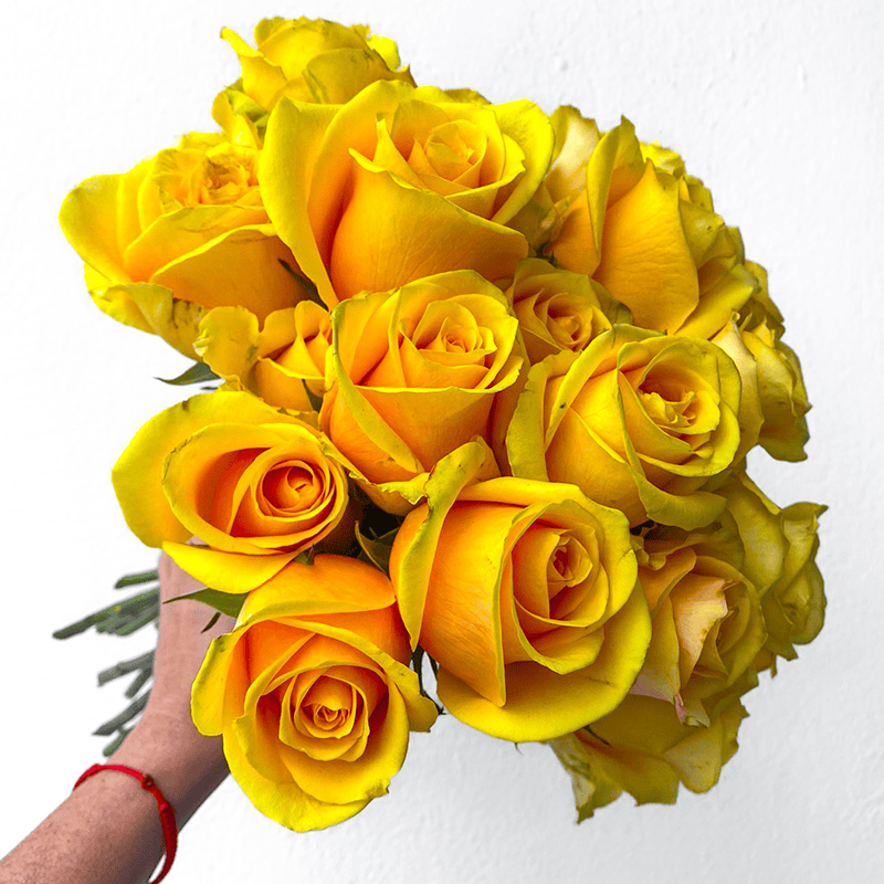 Butterscotch - Image 6