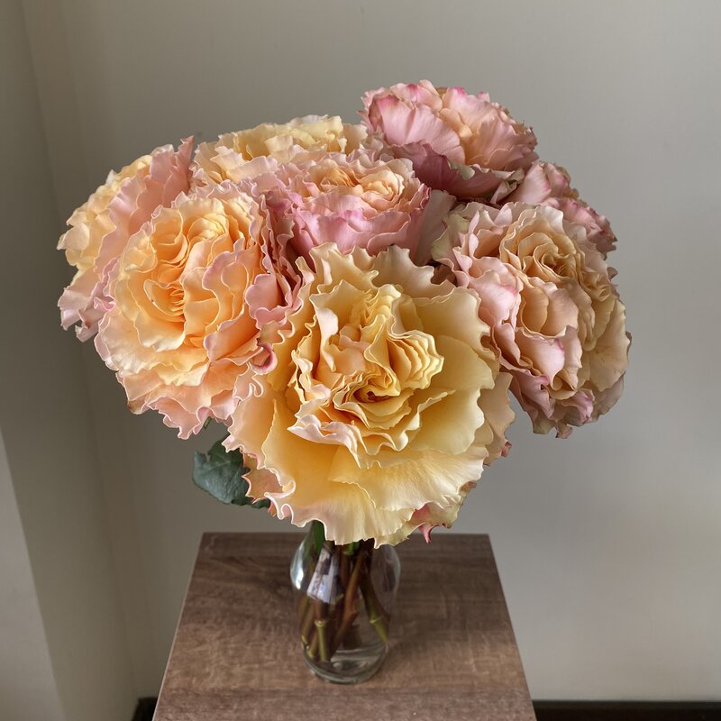 Campanella Peach - Image 3