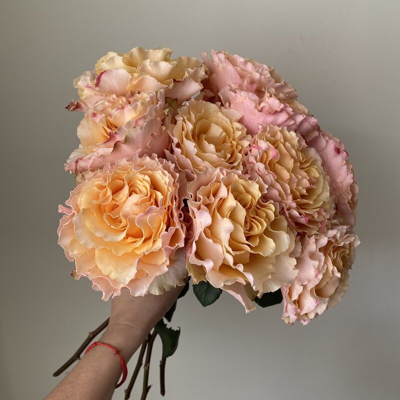 Campanella Peach - Image 5