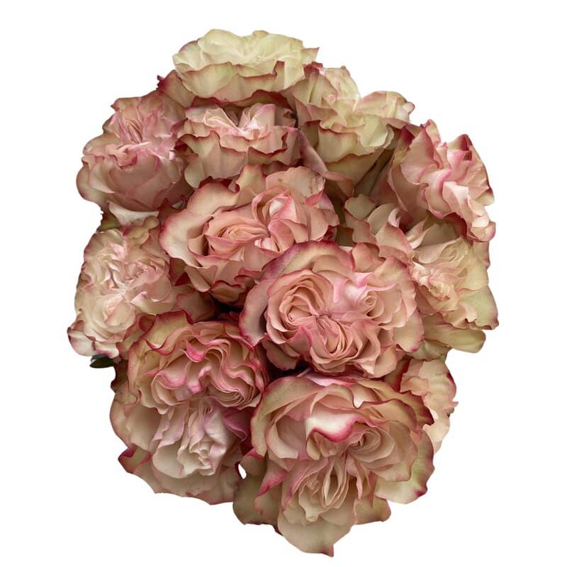Country Candy - Image 3