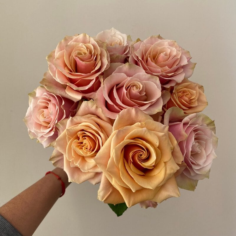 Pink Amaretto - Image 4