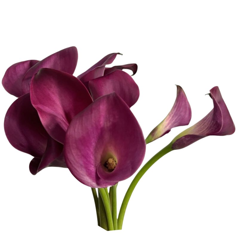 Mini Callas Hot Pink