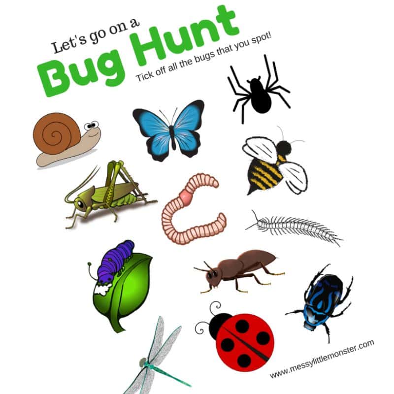 bug scavenger hunt