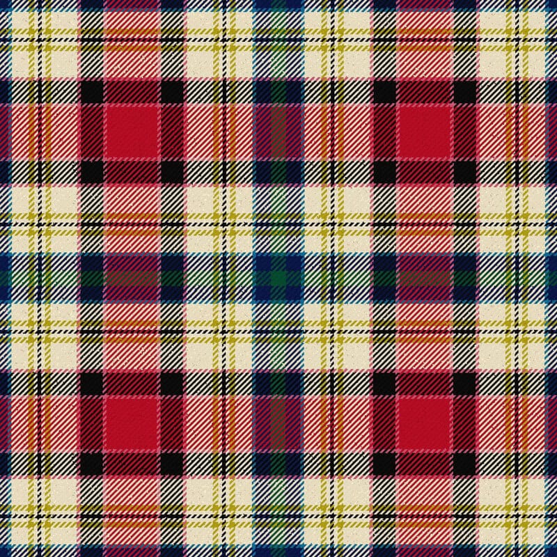dundee dress tartan 1.jpg