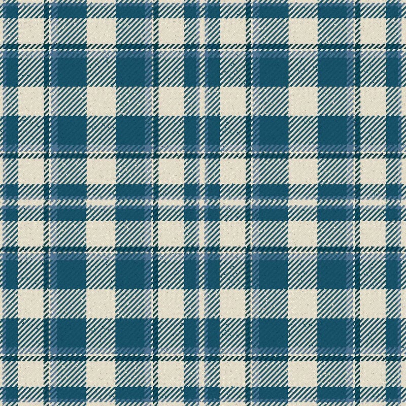 silver ancient tartan kilt.jpg