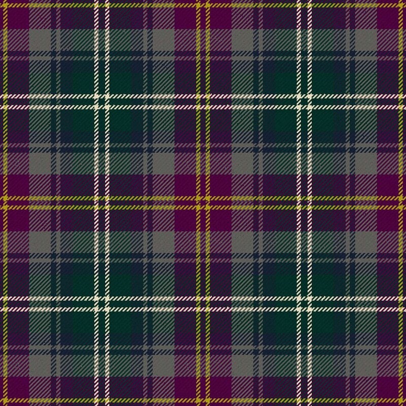veitch h family hunting tartan kilt.jpg