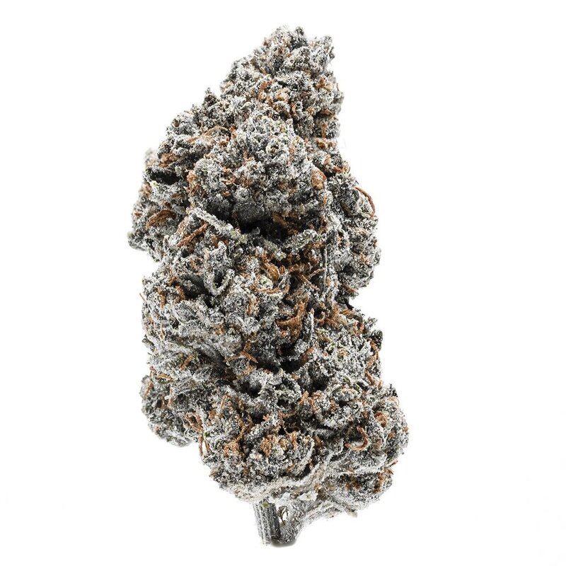 Tenzo Ice Cream Sandwiches