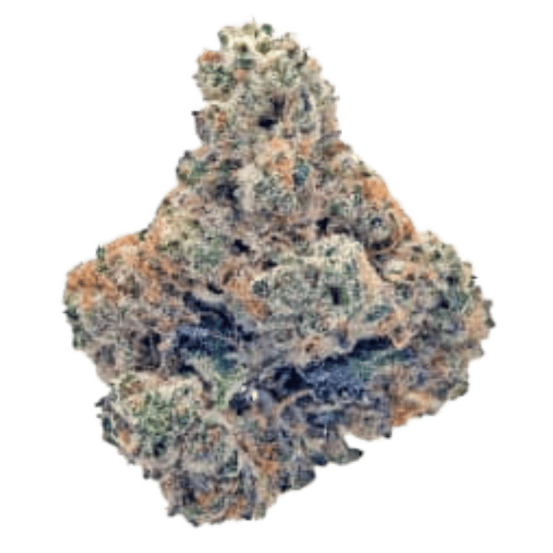 Hasho's GMO 3.5g <br> Hybrid <br> 23.9%