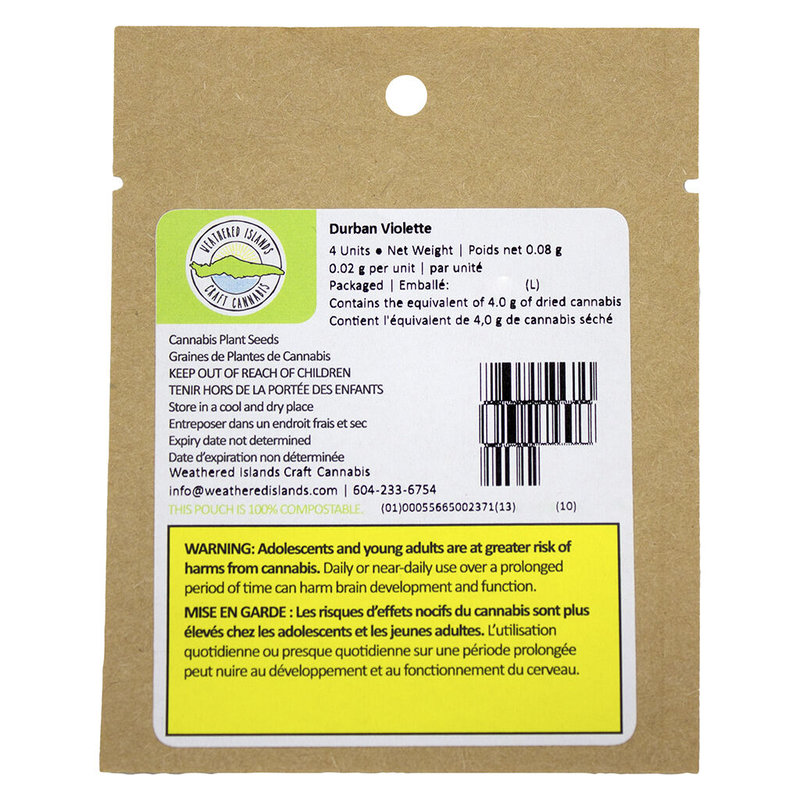 Durban Violette Seeds 4 Pack Seeds - Image 3
