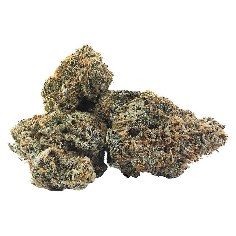 Am/Pm Dried Flower Mix Pack
