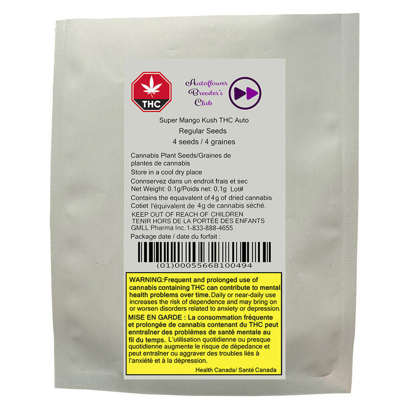 Super Mango Kush THC Auto Seeds Regular <br>Indica <br>4 Pack - Image 3