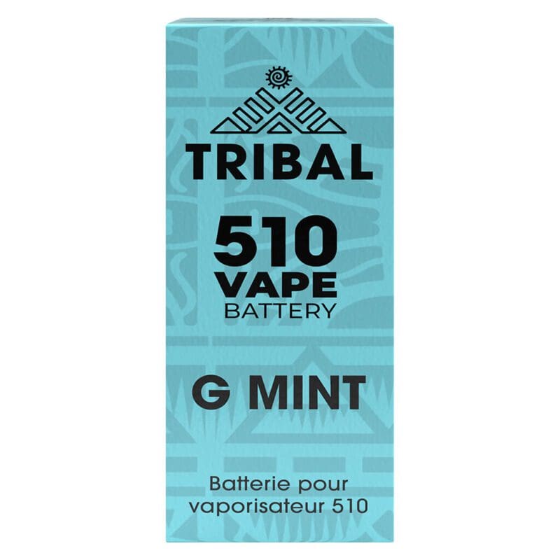 elf bar vape uk G Mint Supernova Live Resin AIO 78% THC, 6% CBD by Tribal main image 1