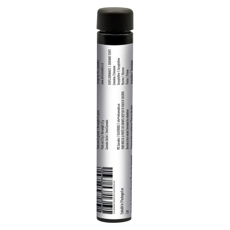 East Coast Dank'z (Grape Gas x Gelato 41) Pre-Rolls 3 Pack <br>Indica <br>28.8% - Image 3