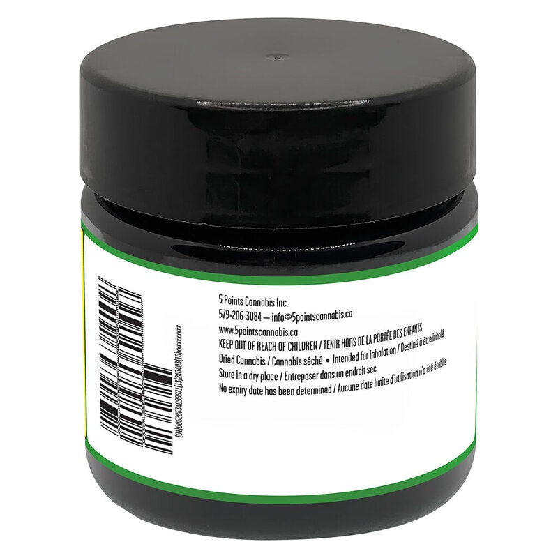 Blueberry Yum Yum 3.5g <br>Hybrid <br>26.4% | 4.88% Terps - Image 3