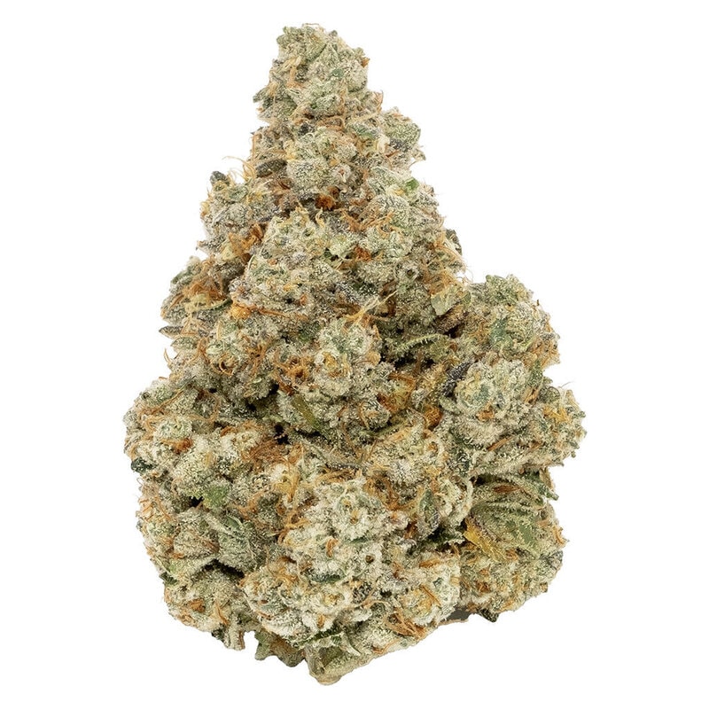 Northern Canna Prime8 Fuel 7g Montrose Cannabis