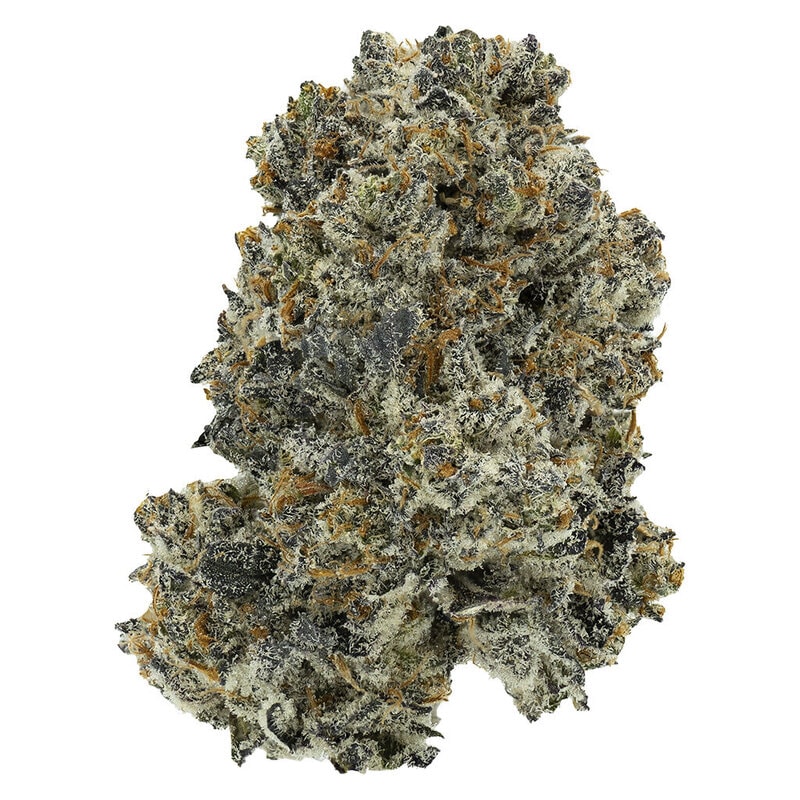 Dreamcatcher 28g by Crooked Dory