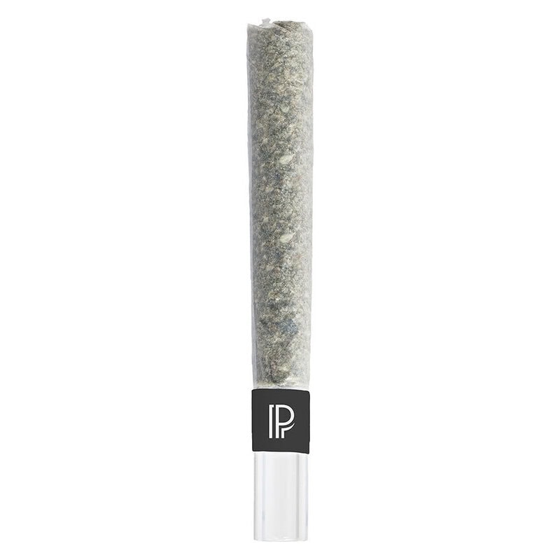 Pink Goo Bubble Hash Infused Pre-Roll Single by Pistol and Paris
