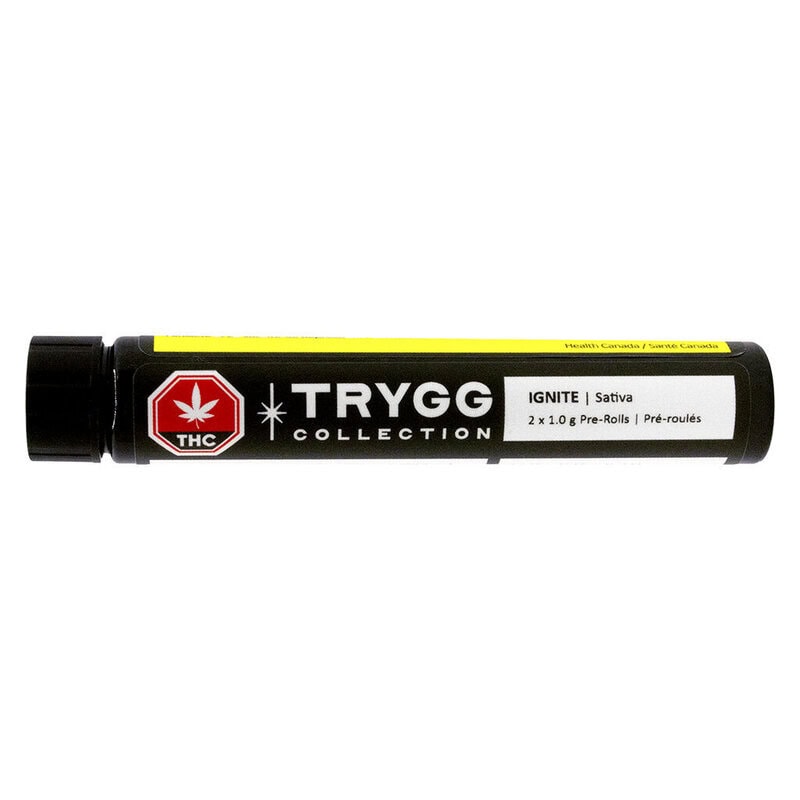 IGNITE Pre-Rolls 2 Pack by TRYGG Sativa at Montrose Cannabis