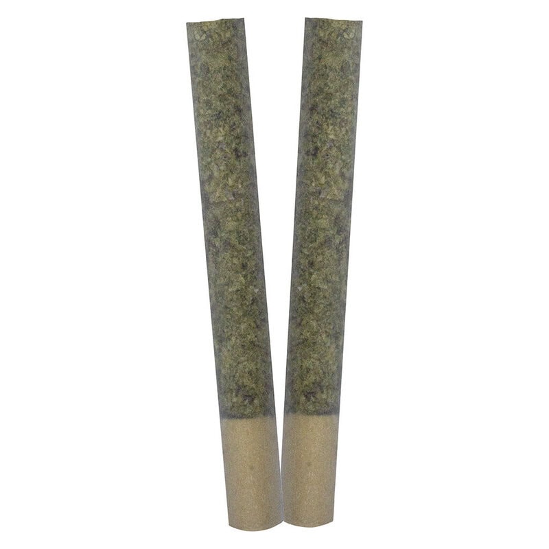 IGNITE Pre-Rolls 2 Pack by TRYGG Sativa at Montrose Cannabis