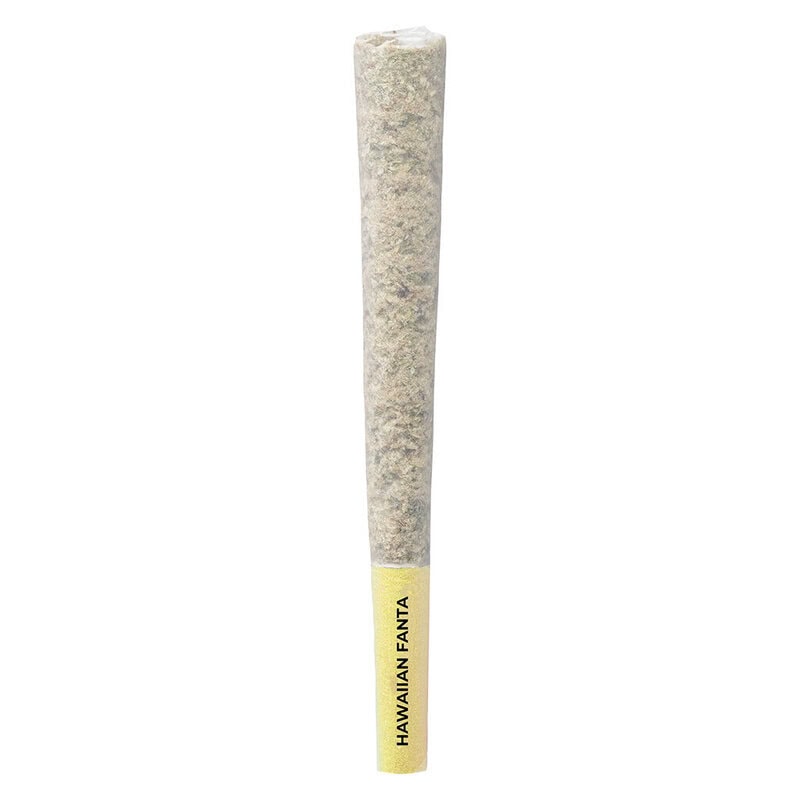 Hawaiian Fanta Pre-Rolls 10 Pack Pistol and Paris Sativa Montrose Cannabis