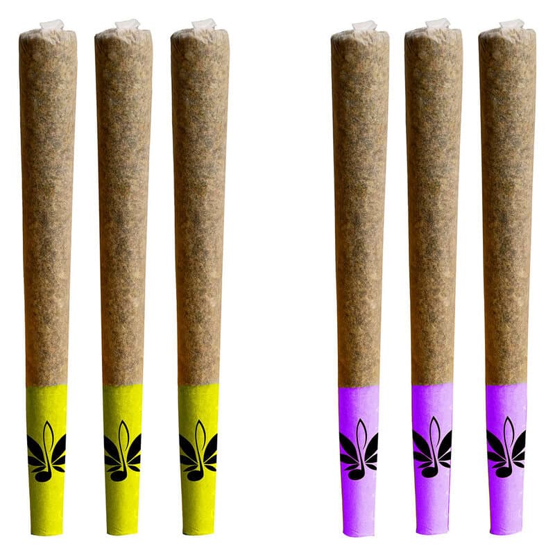 Day & Night Mixed Pack of Js Pre-Rolls 10 Pack High Note Hybrid Montrose Cannabis