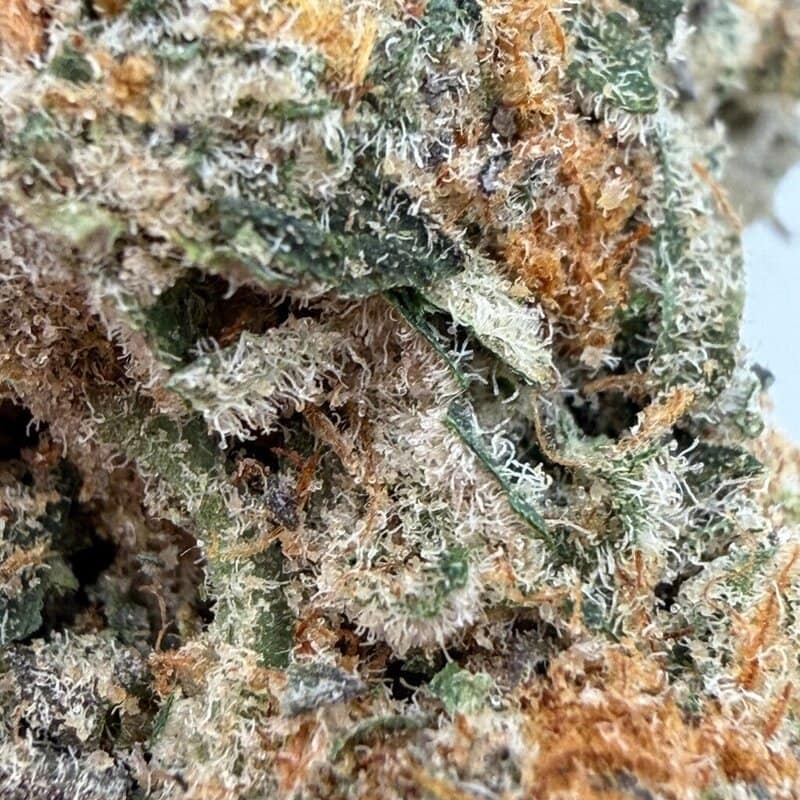 White Ferrari 7g Headstone Indica Montrose Cannabis