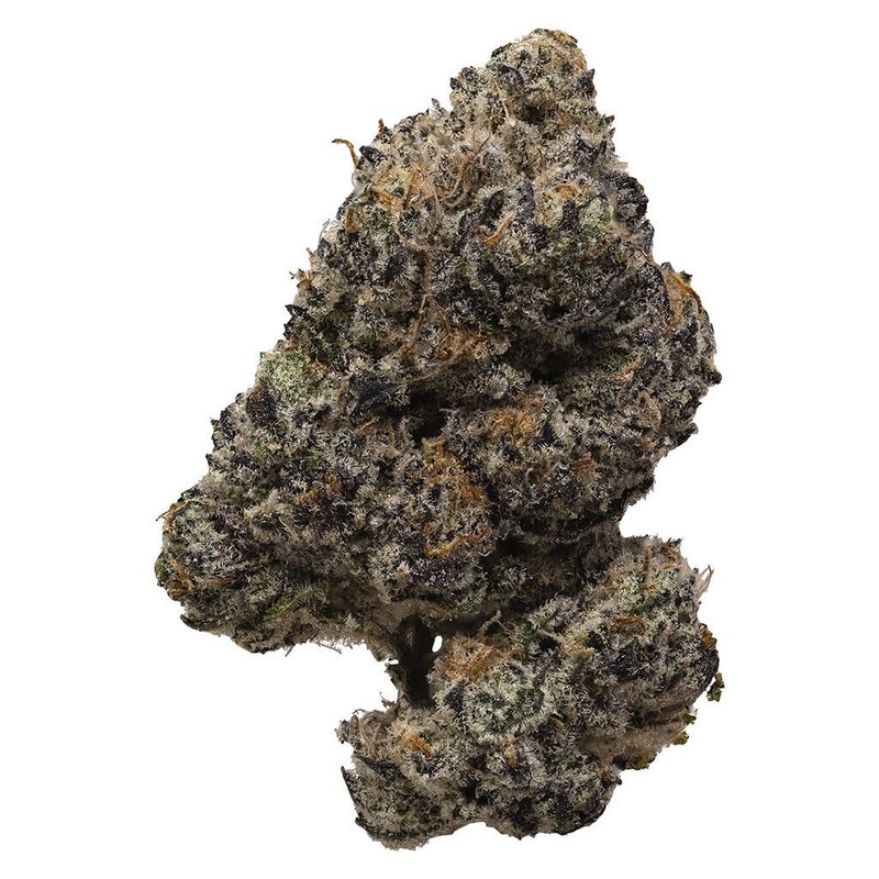 Pink Rockstar 7g Flower – Pistol and Paris Indica | Montrose