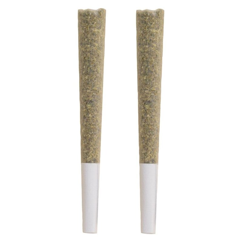 Black Label Pre-Rolls 2 Pack (2x1g) - The Republic | Montrose