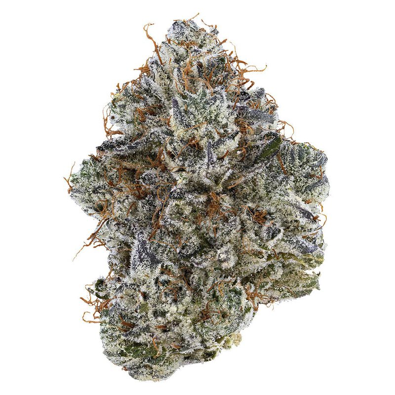 Neon Sunshine 14g Flower – Tribal Hybrid Big Bag | Montrose