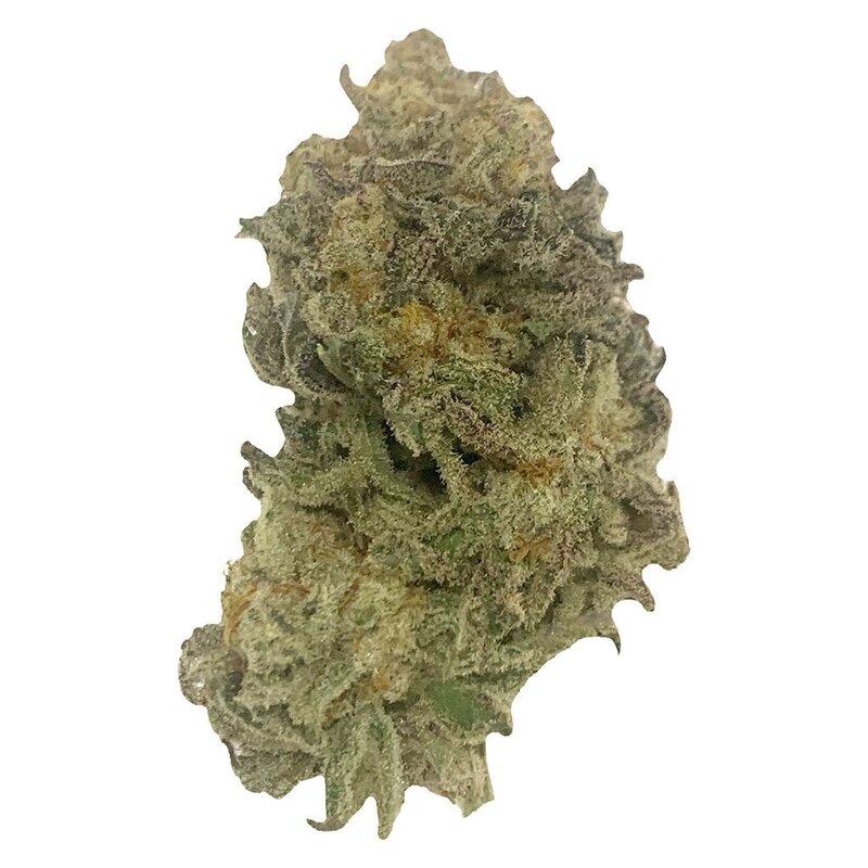 VIP Kush 7g – Just Kush Flower | Montrose Cannabis