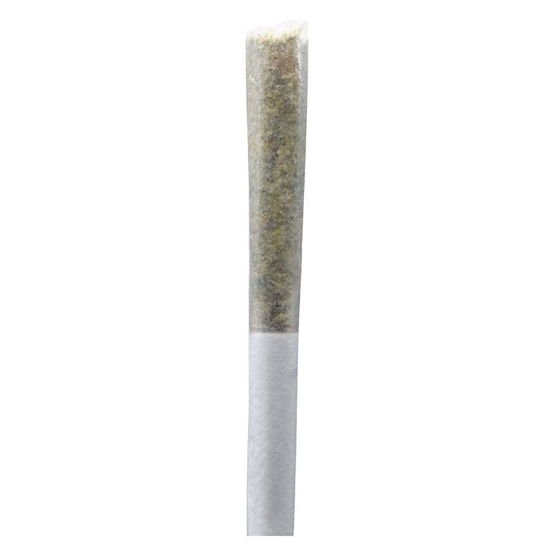Permanent Gusher Pre-Rolls 10 Pack – ONO Hybrid | Montrose