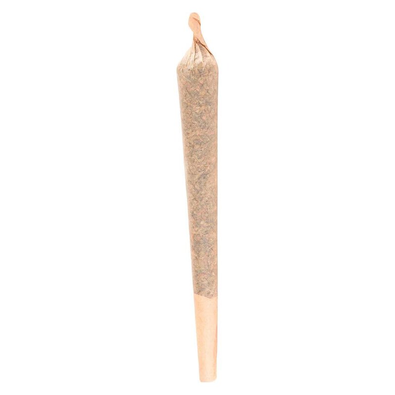 Runt Puncher Pre-Roll Single – Terp Town Indica | Montrose