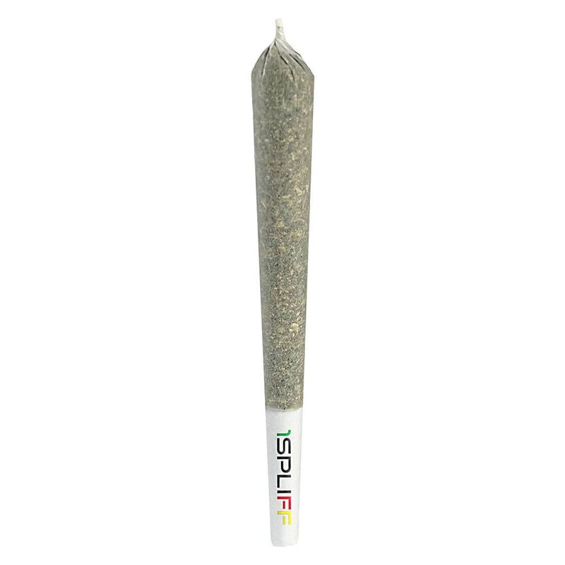 Creativity Pre-Roll Single 1x1g – 1Spliff Pre-Rolls | Montrose Cannabis