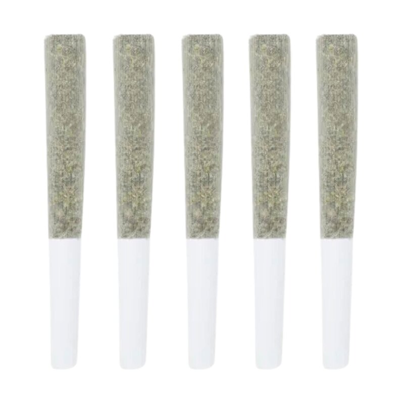 Black Truffle Pre-Rolls 5 Pack 5x0.5g – 3rd Coast Genetics | Montrose