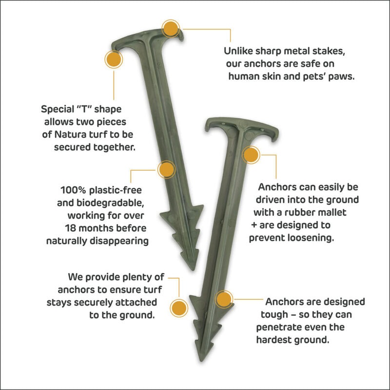 Natura Anchors