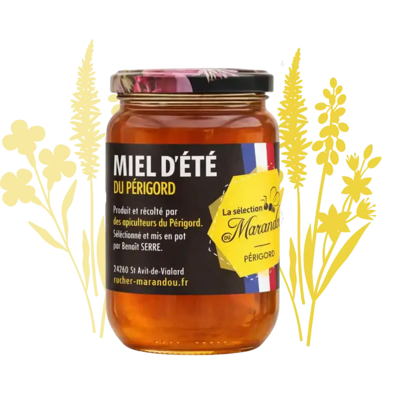 Pot de miel d’été du Périgord 500g – miel foncé artisanal récolté par des apiculteurs du Périgord, Rucher du Marandou