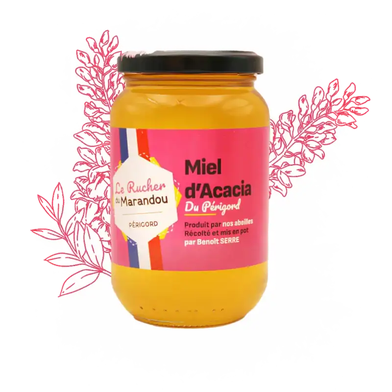 Miel d’acacia 500 g – Apiculteur producteur Dordogne – Rucher du Marandou