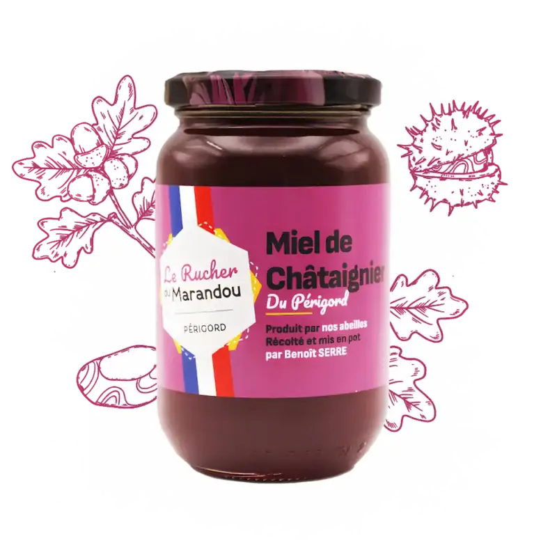 Miel de châtaignier 500 g – Apiculteur producteur Dordogne – Rucher du Marandou
