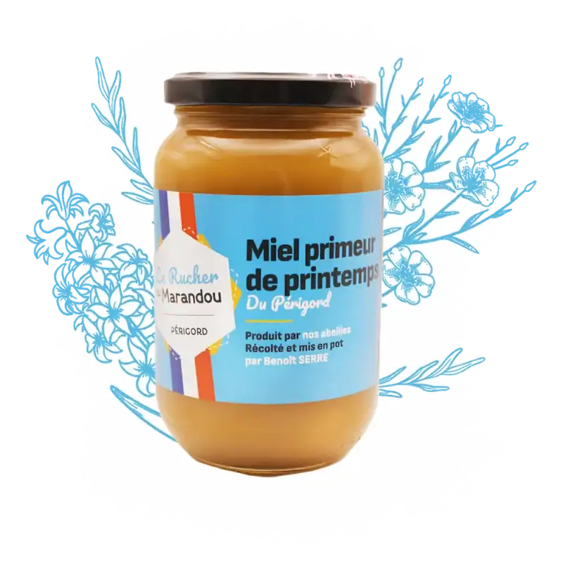 Miel primeur de printemps 500 g – Apiculteur producteur Dordogne – Rucher du Marandou