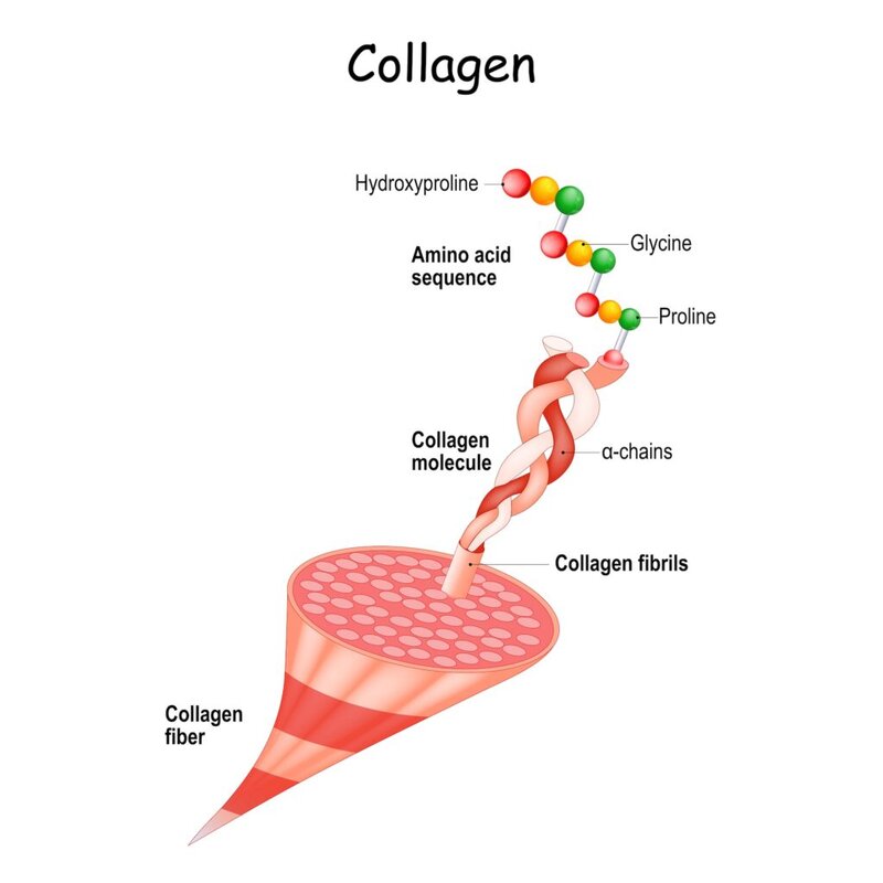 Collagen structure to support PRP and stem cells Tempe AZ