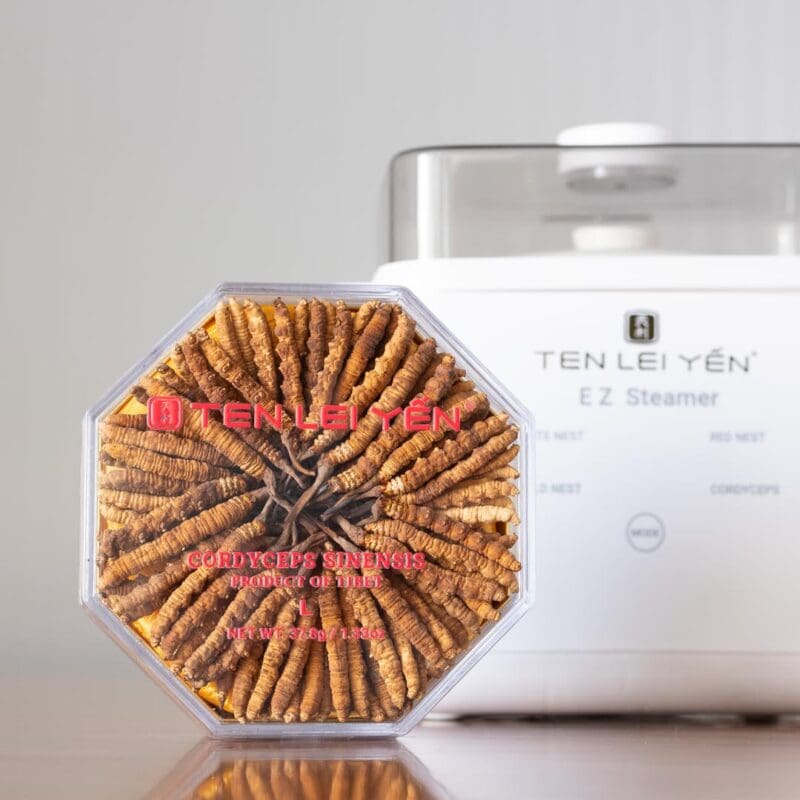 Ten Lei Yen - Cultivated Cordyceps 37.8 Gram Large