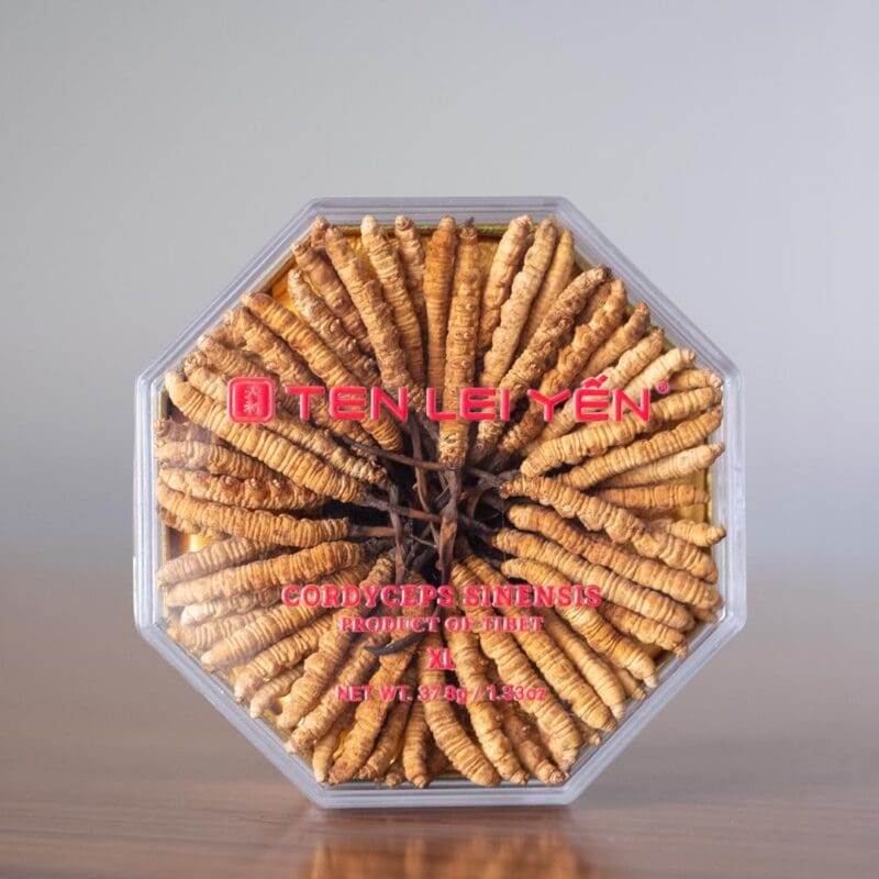 Ten Lei Yen - Cultivated Cordyceps 37.8 Gram Extra Large