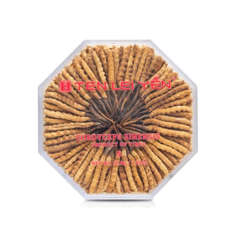 Ten Lei Yen - Cultivated Cordyceps 37.8 Gram Small